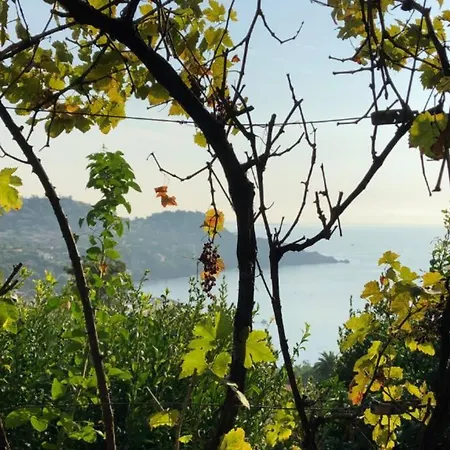 Stunning Provencal - Panoramic Views Willa Saint-Raphaël