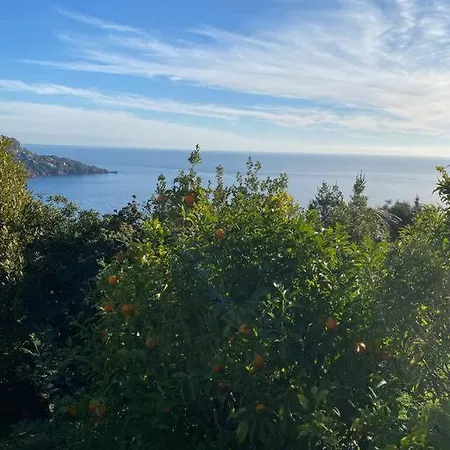 Stunning Provencal - Panoramic Views Saint-Raphaël