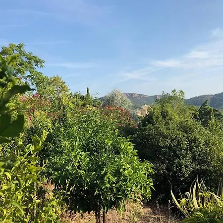 Stunning Provencal - Panoramic Views Willa *