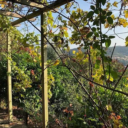 Stunning Provencal - Panoramic Views *