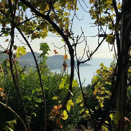 Stunning Provencal - Panoramic Views Saint-Raphaël