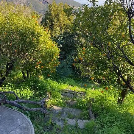 Stunning Provencal - Panoramic Views * Saint-Raphaël